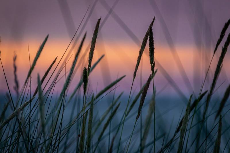 Strandurlaub Callantsoog LekkerNaarZee